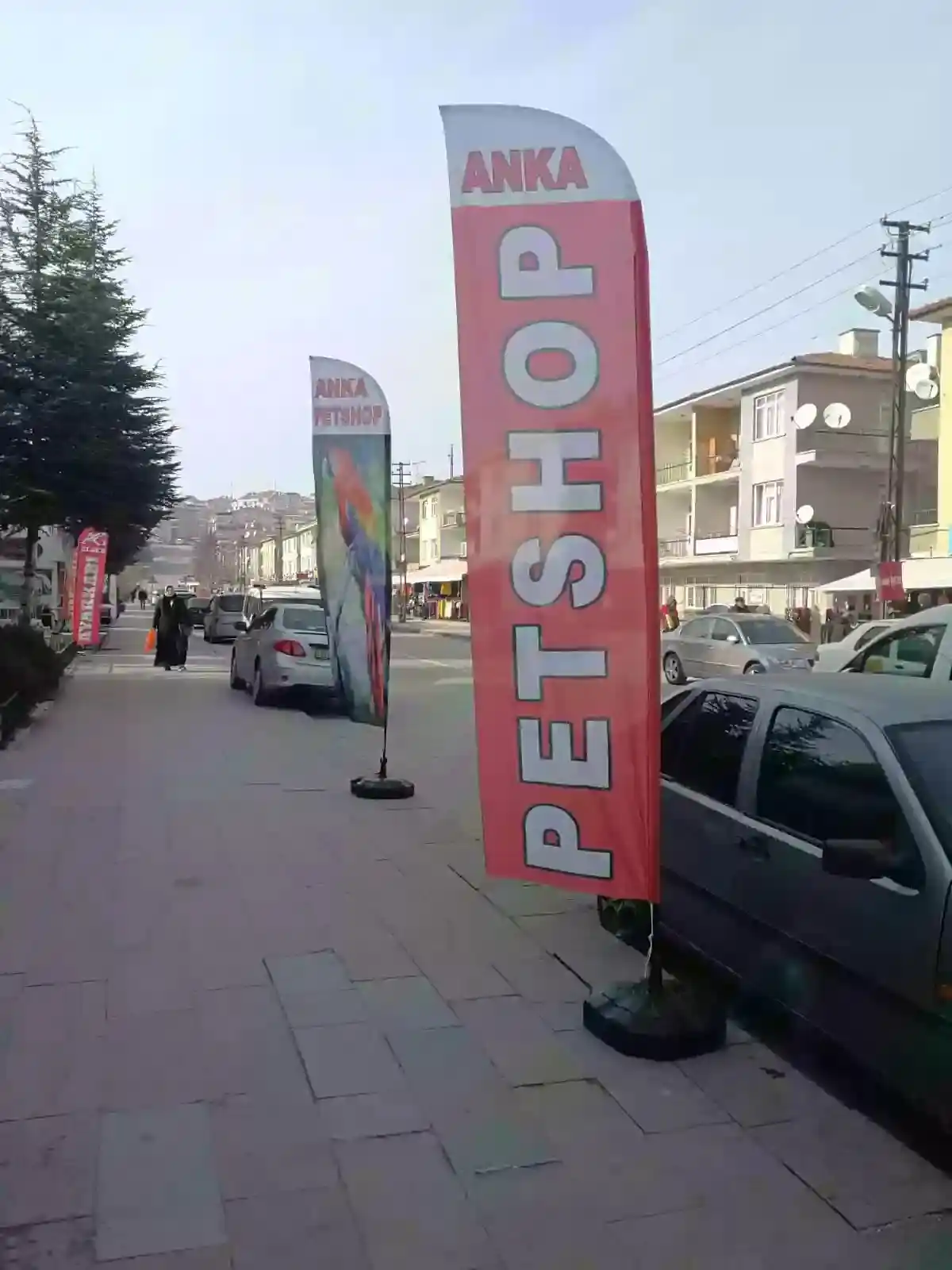 Petshop Olta Bayrağı-18