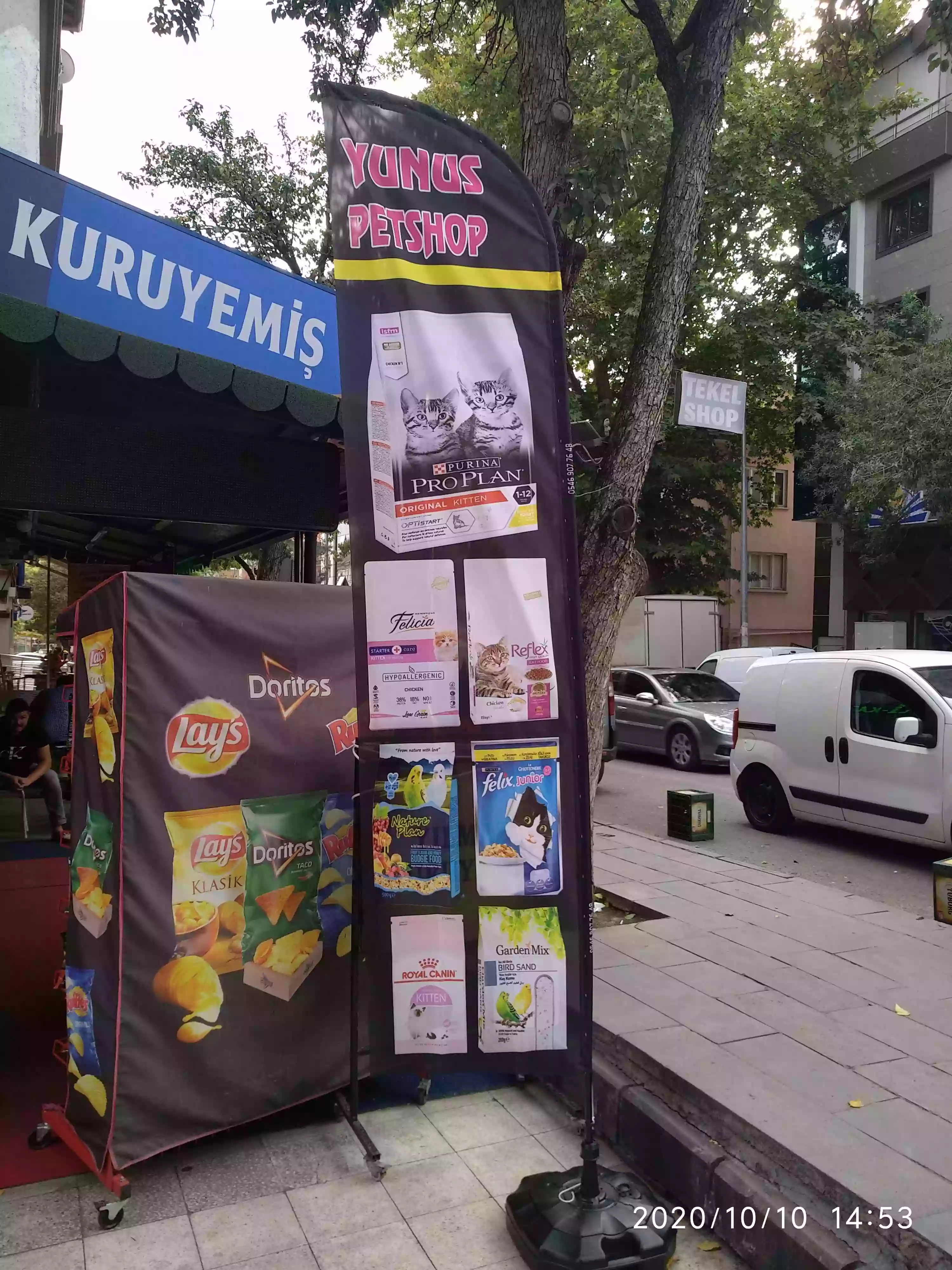 Petshop Olta Bayrağı-19