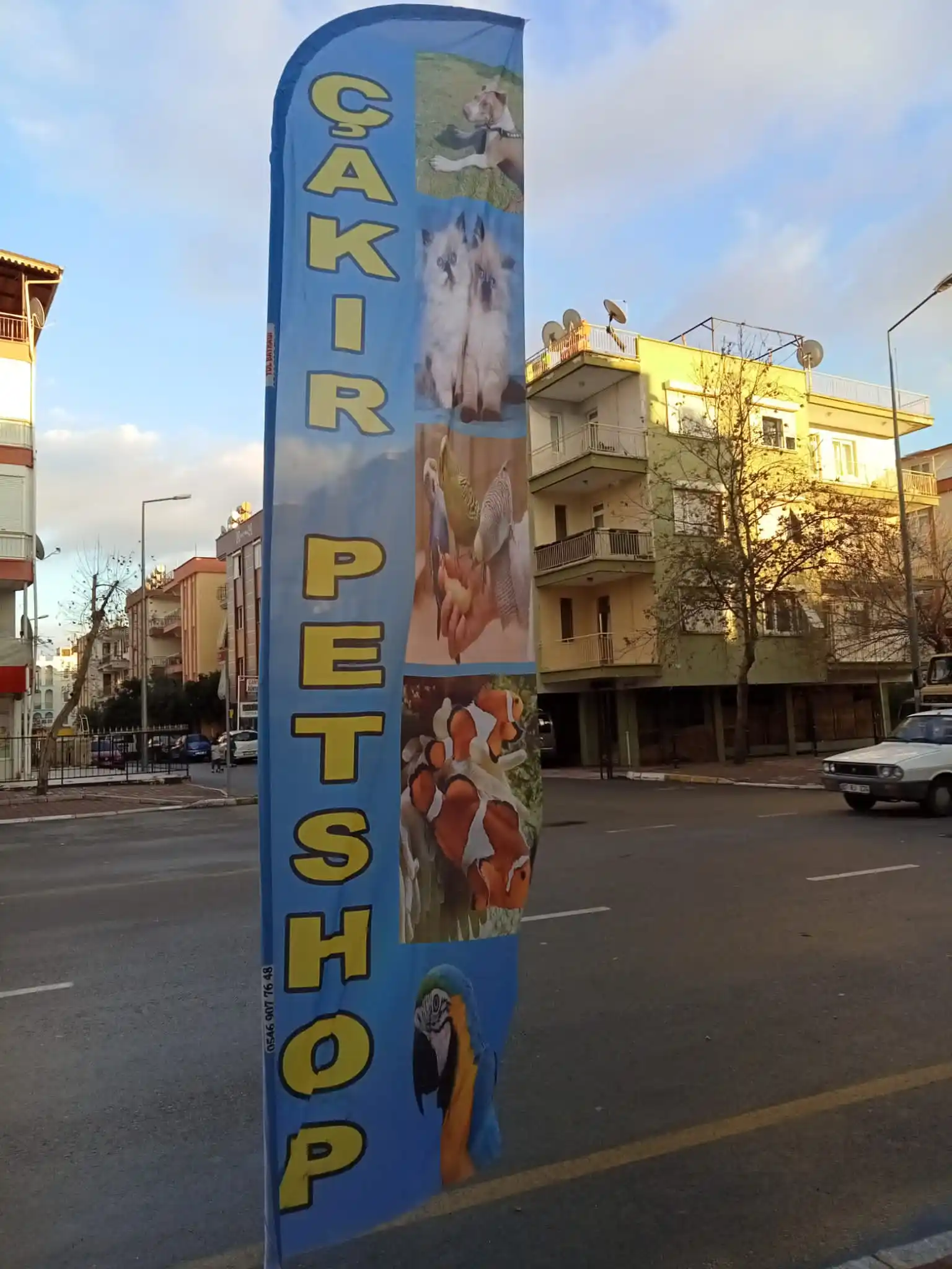 Petshop Olta Bayrağı-28