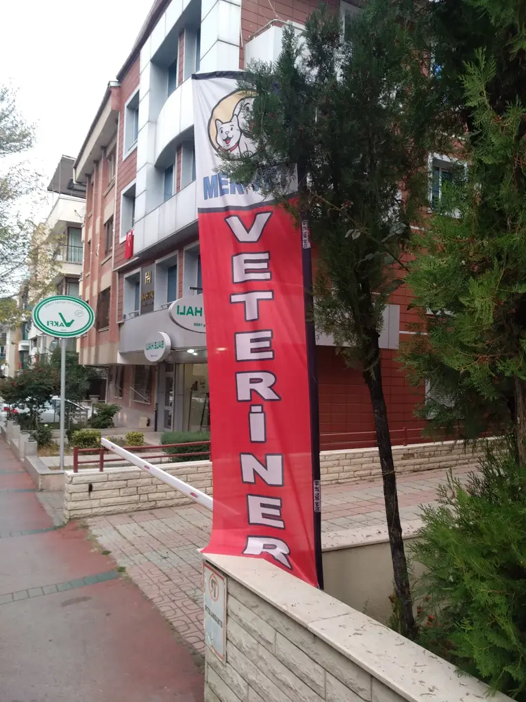 Veteriner Olta Bayrağı-9